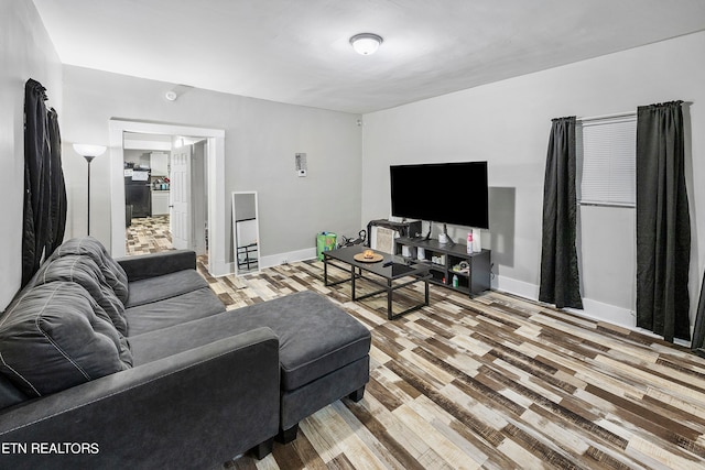 living room with wood-type flooring