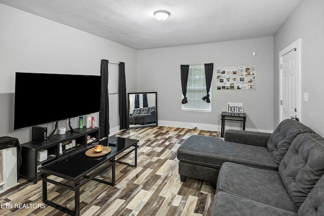 living room with hardwood / wood-style floors