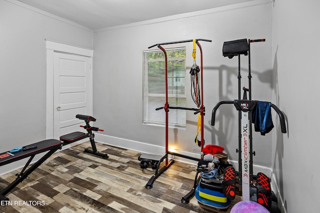 workout area featuring wood-type flooring