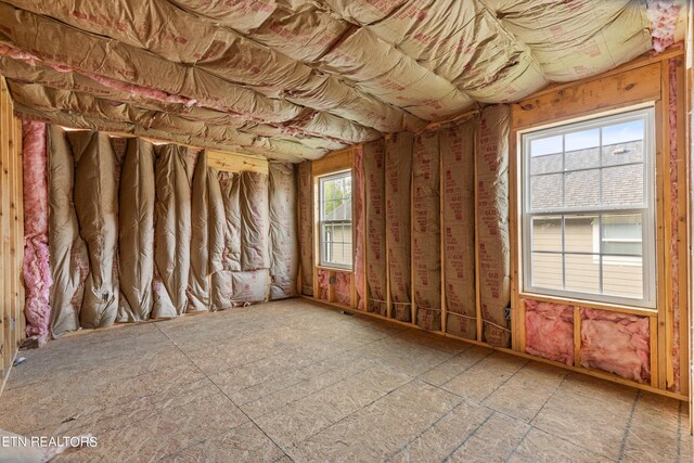 miscellaneous room featuring plenty of natural light