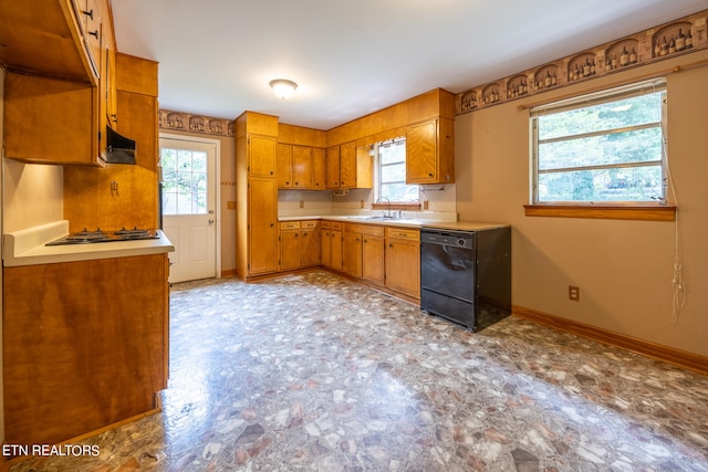 kitchen with dishwasher, stainless steel gas stovetop, and sink