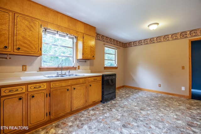 kitchen featuring dishwasher and sink