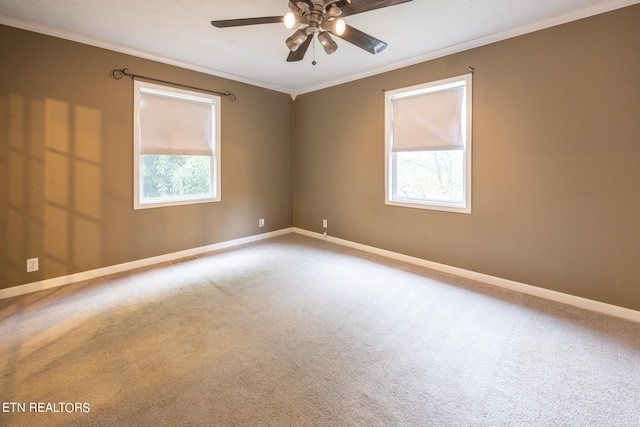 spare room with carpet flooring, ceiling fan, a wealth of natural light, and ornamental molding