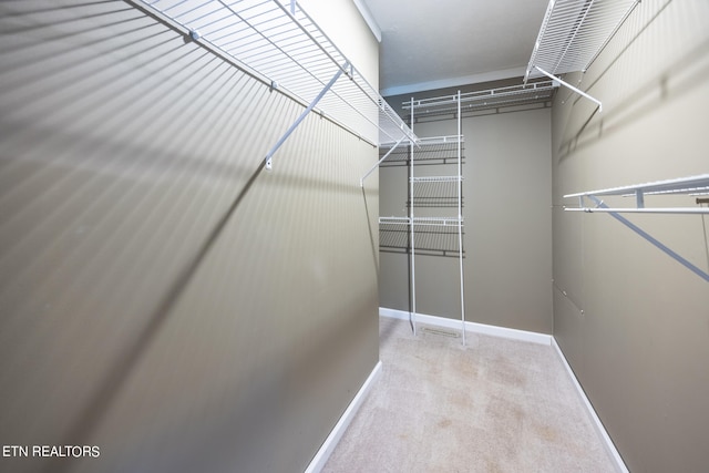 spacious closet with light carpet