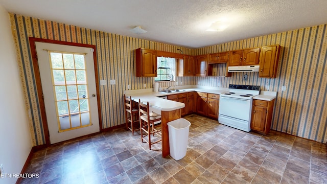 kitchen with a textured ceiling, sink, and electric stove