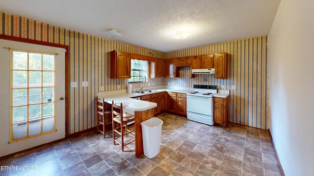 kitchen featuring a healthy amount of sunlight, electric range, sink, and a textured ceiling