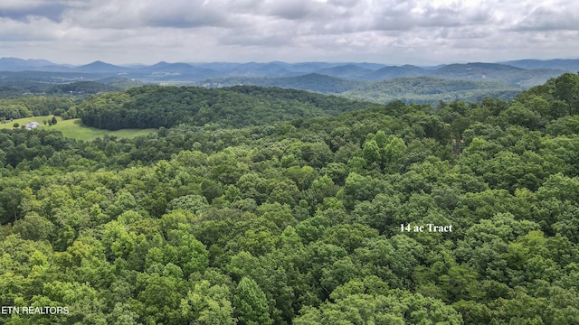 TRACT2 Mecca Pike, Tellico Plains, TN 37385 - photo 9