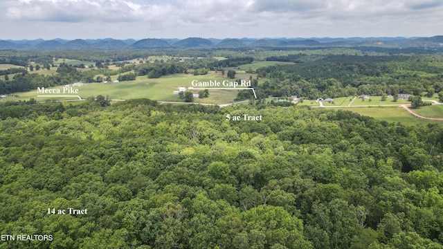 TRACT2 Mecca Pike, Tellico Plains, TN 37385 - photo 10