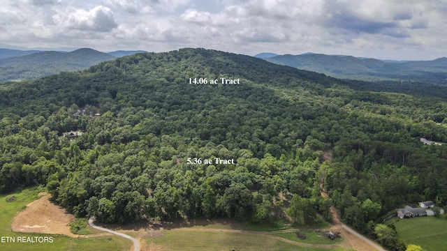 TRACT2 Mecca Pike, Tellico Plains, TN 37385 - photo 11