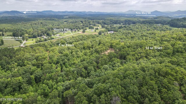 TRACT2 Mecca Pike, Tellico Plains, TN 37385 - photo 12
