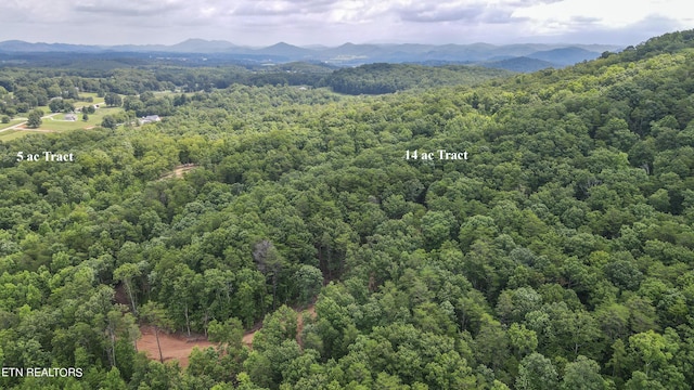 TRACT2 Mecca Pike, Tellico Plains, TN 37385 - photo 14