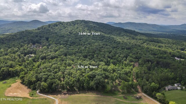 TRACT2 Mecca Pike, Tellico Plains, TN 37385 - photo 15