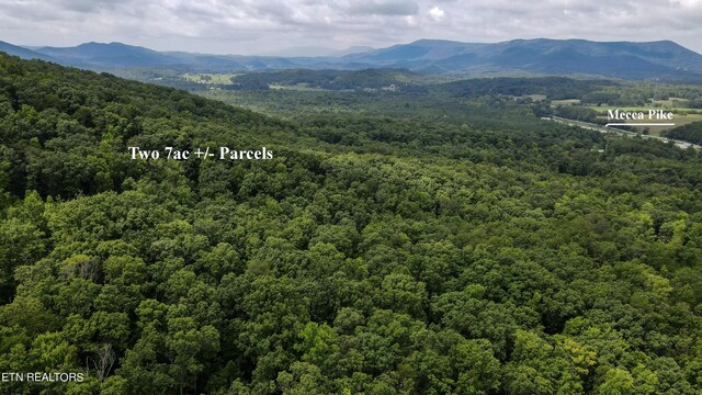 Listing photo 2 for TRACT2 Mecca Pike, Tellico Plains TN 37385