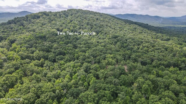 Listing photo 3 for TRACT2 Mecca Pike, Tellico Plains TN 37385