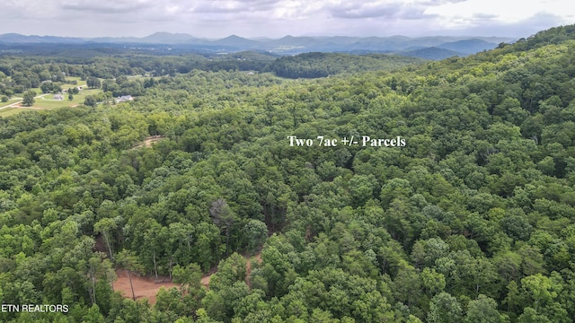 TRACT2 Mecca Pike, Tellico Plains, TN 37385 - photo 4