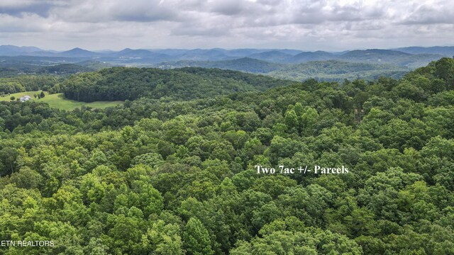 TRACT2 Mecca Pike, Tellico Plains, TN 37385 - photo 5