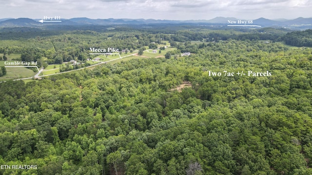 TRACT2 Mecca Pike, Tellico Plains, TN 37385 - photo 6
