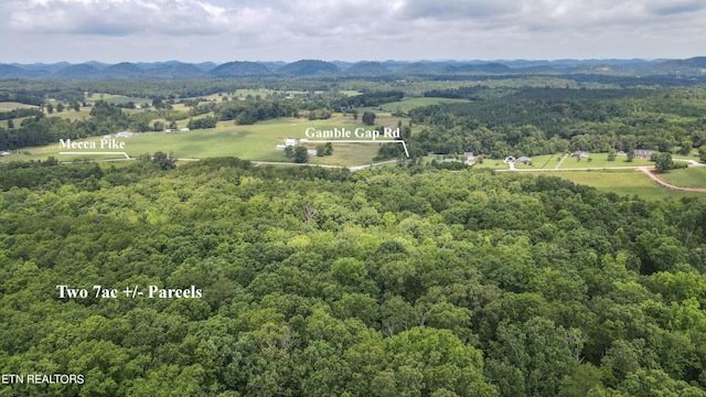 TRACT2 Mecca Pike, Tellico Plains, TN 37385 - photo 7