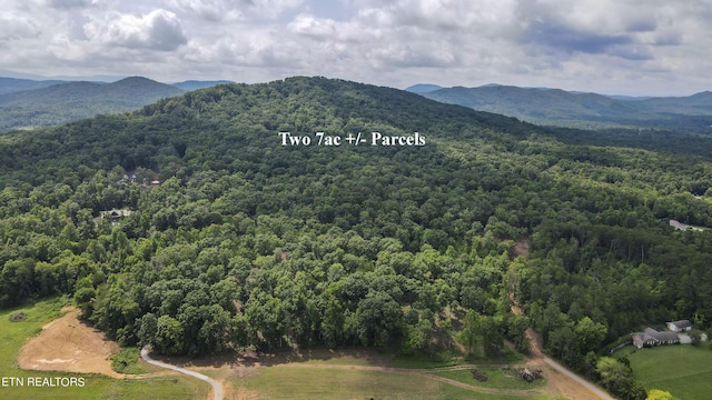 TRACT2 Mecca Pike, Tellico Plains, TN 37385 - photo 8