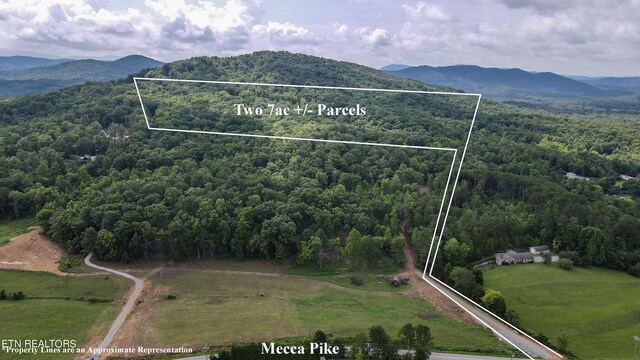 TRACT2 Mecca Pike, Tellico Plains, TN 37385 - photo 16