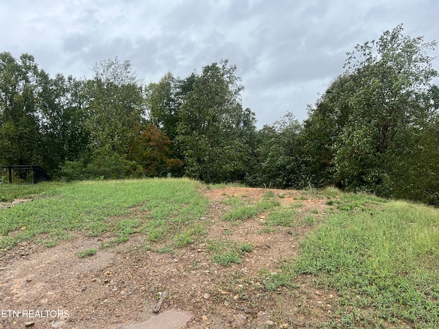 1564 Mountain Hill Ln, Knoxville TN, 37931 land for sale