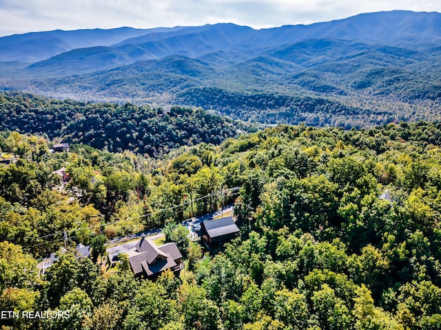 drone / aerial view featuring a mountain view