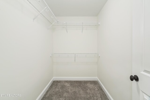 spacious closet with dark carpet