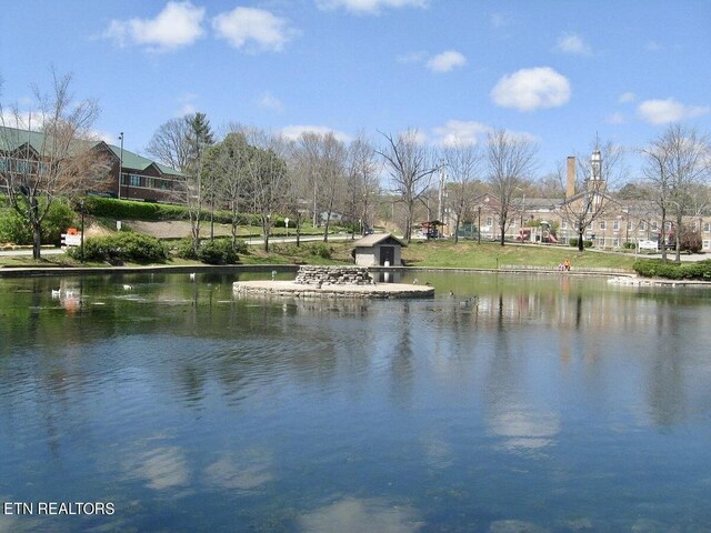 view of water feature