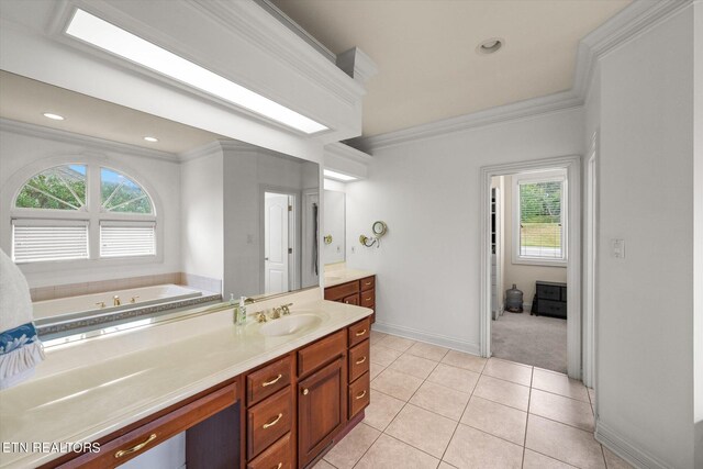 bathroom with vanity, crown molding, and a healthy amount of sunlight