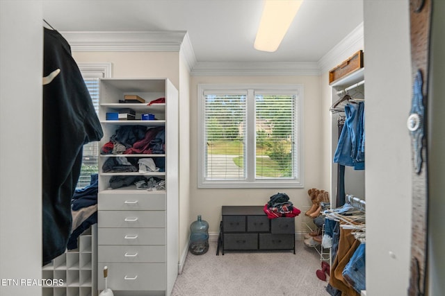 walk in closet with light colored carpet