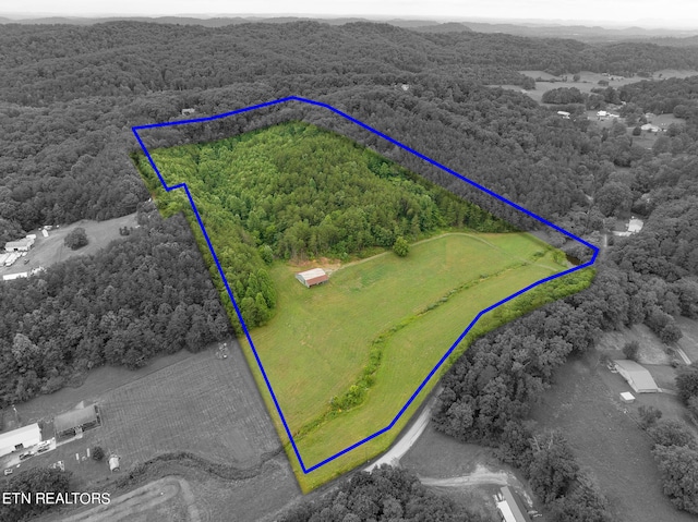 1711 Tarklin Valley Rd, Knoxville, TN 37920