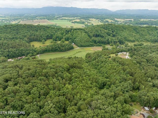 1711 Tarklin Valley Rd, Knoxville, TN 37920