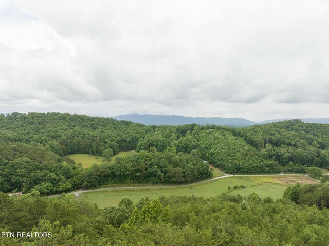 1711 Tarklin Valley Rd, Knoxville, TN 37920