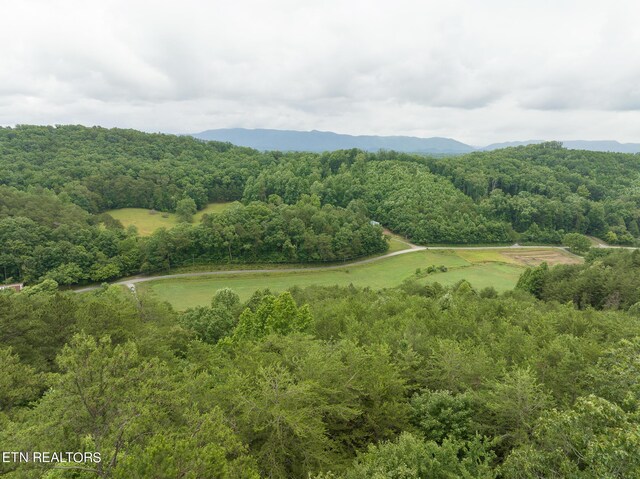 1711 Tarklin Valley Rd, Knoxville, TN 37920
