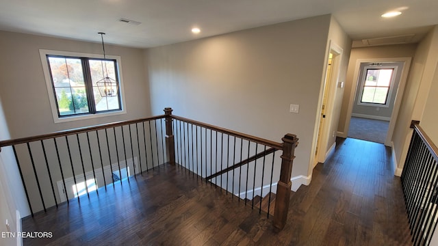 corridor featuring a healthy amount of sunlight and dark hardwood / wood-style floors