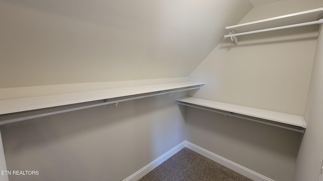 spacious closet with carpet flooring and lofted ceiling