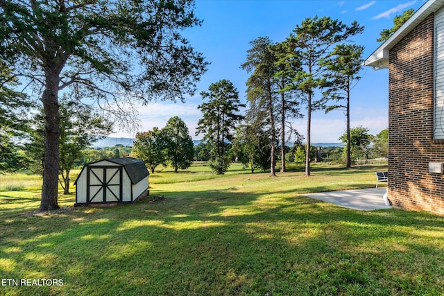 view of yard featuring a storage shed