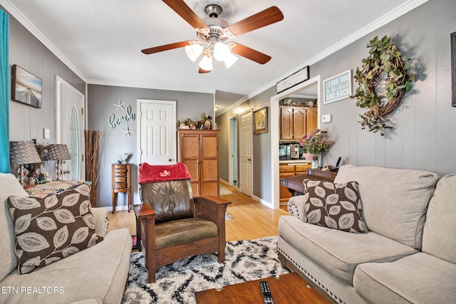 living room featuring ceiling fan, light hardwood / wood-style floors, and crown molding