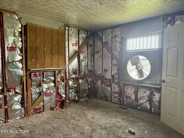 interior space with carpet flooring and a textured ceiling