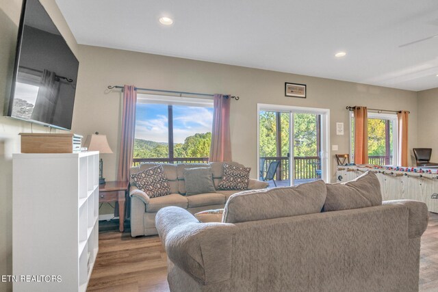 living room with light wood-type flooring and a healthy amount of sunlight