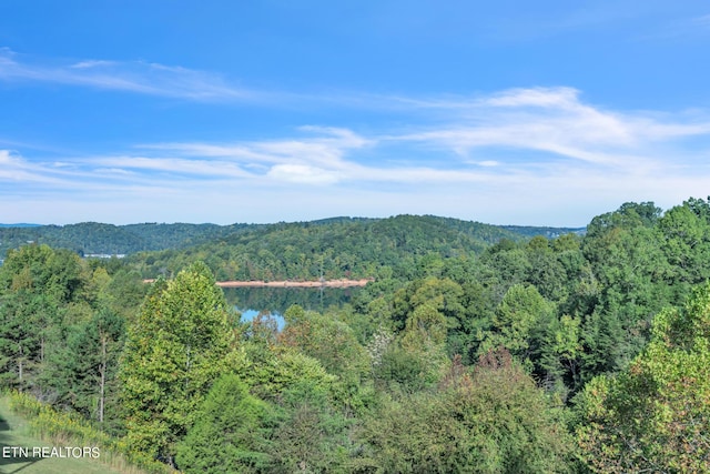 view of mountain feature with a water view