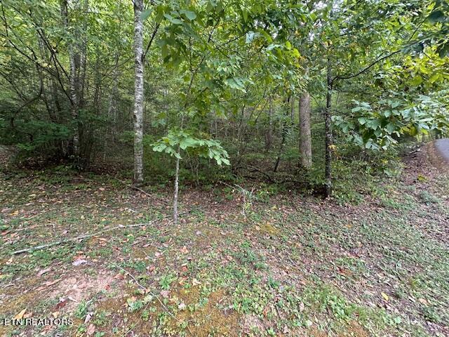 Listing photo 3 for LOT63R Bluestone Way, Townsend TN 37882