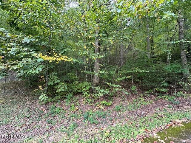 LOT63R Bluestone Way, Townsend TN, 37882 land for sale