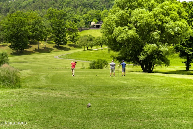 surrounding community with a lawn