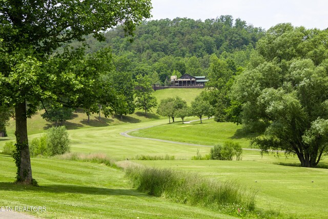 surrounding community featuring a lawn