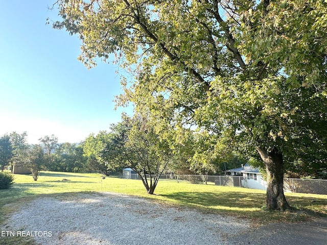 view of yard with a storage unit