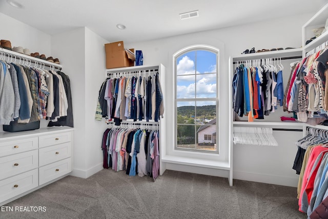 walk in closet featuring carpet flooring