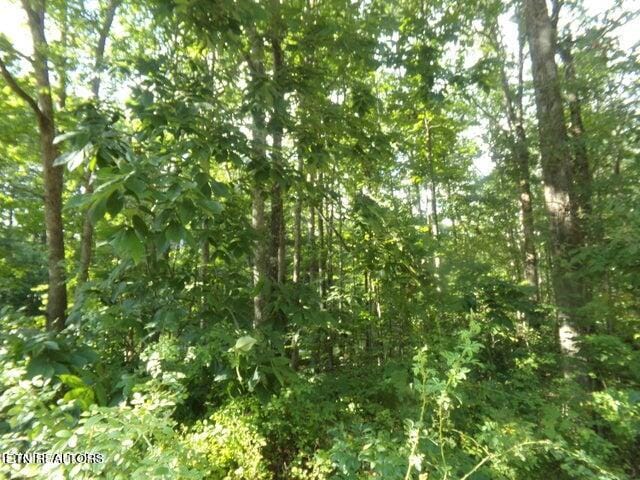 4009 Gua Dr, Crossville TN, 38572 land for sale