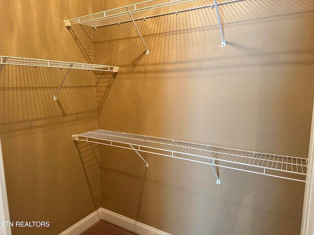 view of walk in closet