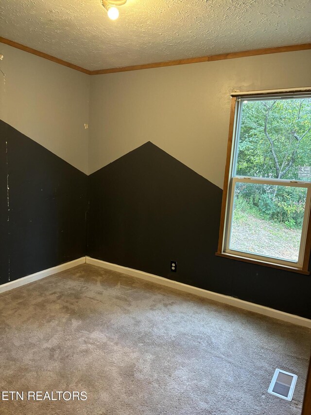 unfurnished room with a textured ceiling and carpet flooring